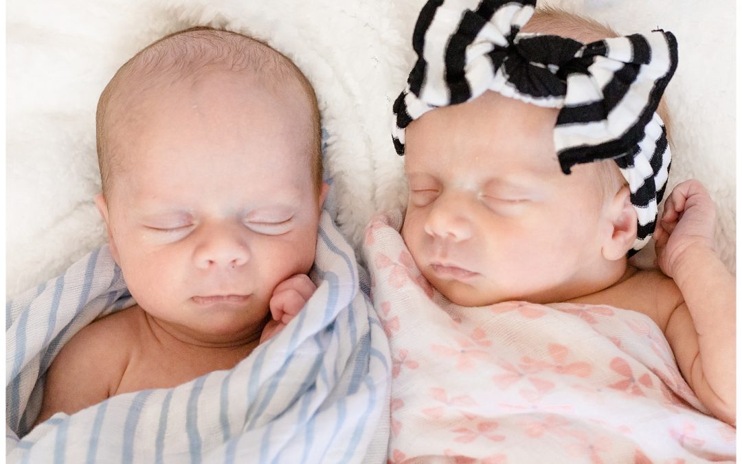 Swaddled Twins Newborn Session