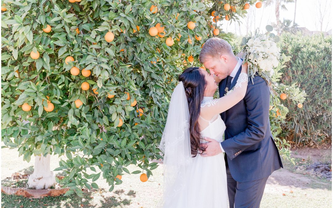 Vietnamese Wedding at St. Anne’s in Gilbert, AZ