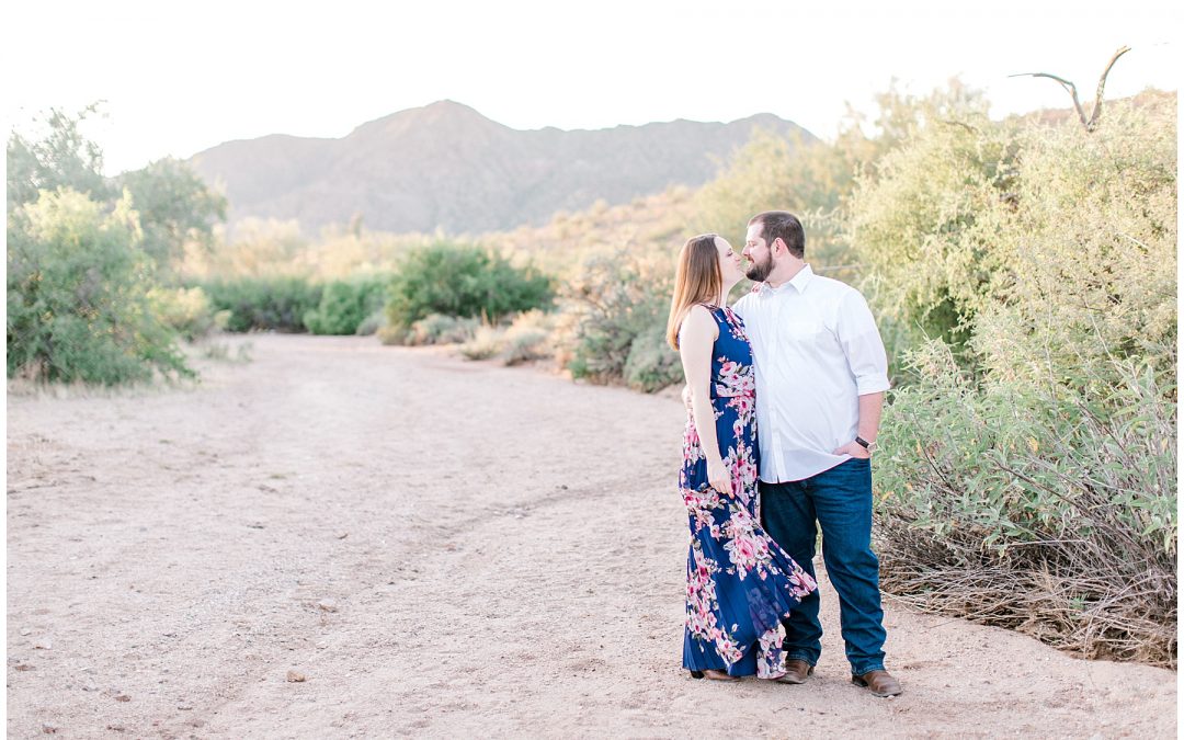 Wickenburg, AZ Desert Proposal