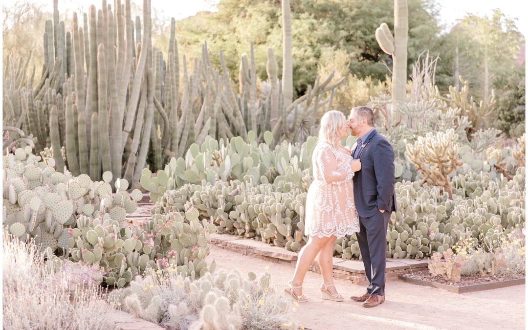 Camelback Mountain Proposal